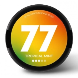 Saszetki nikotynowe 77 Tropical Mint 10,4mg Saszetki nikotynowe 77 Tropical Mint 10,4mg