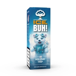 Liquid BUH ICE Salt 20mg 10ml Holiday Trip
