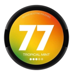 Woreczki nikotynowe 77 SLIM 10.4mg – Tropical Mint Snus AKCYZA