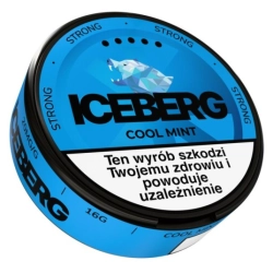 Woreczki Nikot. Iceberg 20mg/g - Cool Mint