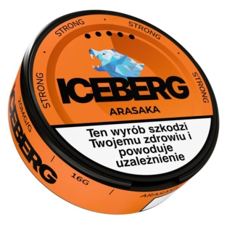 Woreczki Nikot. Iceberg 20mg/g - Arasaka