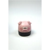 Młynek Plastikowy 63mm 4-częściowy - Pig