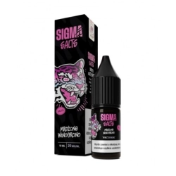 B26 Liquid Sigma Salts 20 mg 10 ml - Mrożone Winogro