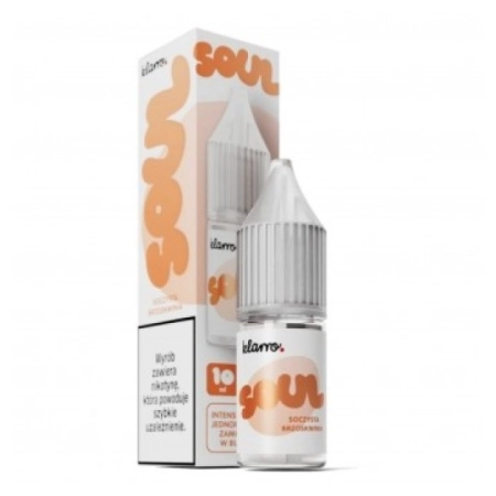 B26 Liquid KLARRO Soul Salt 10ml 20mg Soczy Brzos